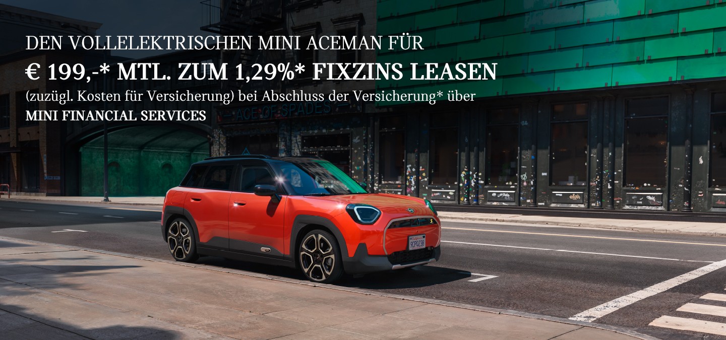 DER VOLLELEKTRISCHE MINI ACEMAN E
